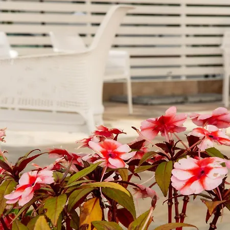 Apartamento La Cicas Vacanze
